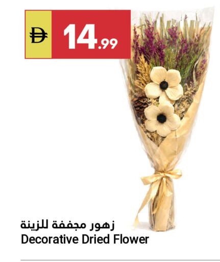 available at جراند الإمارات للتسوق in الإمارات العربية المتحدة , الامارات - أبو ظبي