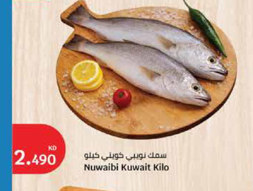 available at City Hypermarket in Kuwait - Kuwait City