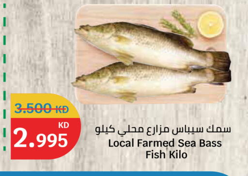 available at City Hypermarket in Kuwait - Kuwait City