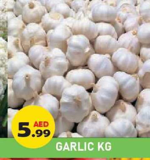 Garlic available at Baniyas Spike  in UAE - Ras al Khaimah