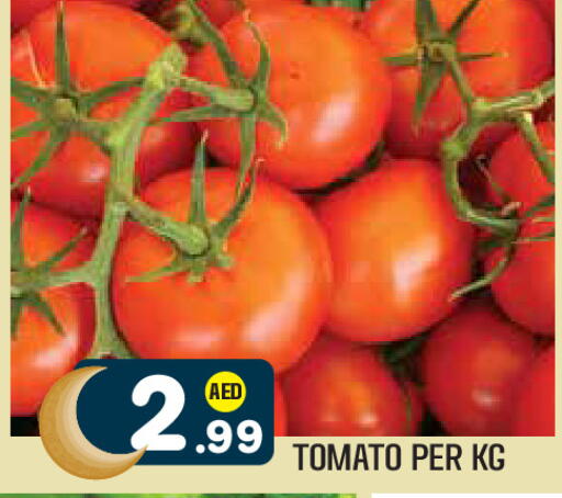 Tomato available at Baniyas Spike  in UAE - Al Ain
