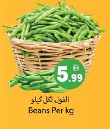 available at Gulf Hypermarket LLC in UAE - Ras al Khaimah