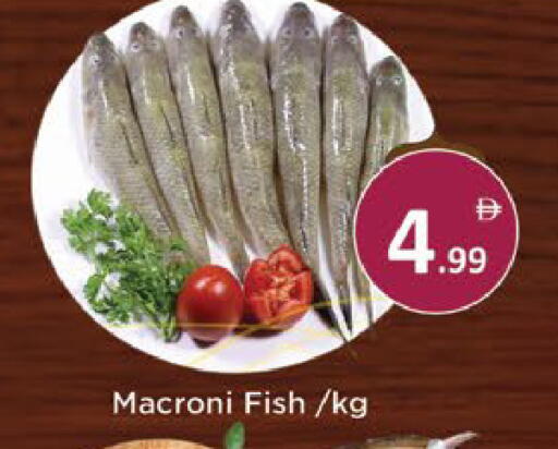 available at AIKO Mall and AIKO Hypermarket in UAE - Al Ain