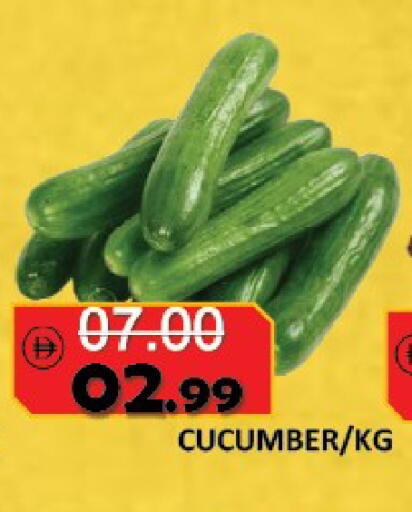 Cucumber available at ROYAL GULF HYPERMARKET LLC in UAE - Abu Dhabi
