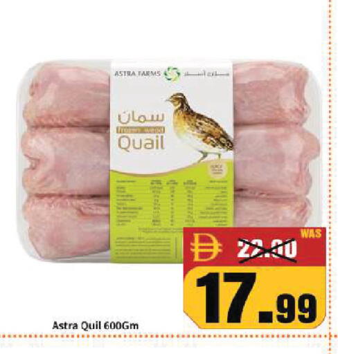 available at ROYAL GULF HYPERMARKET LLC in UAE - Abu Dhabi