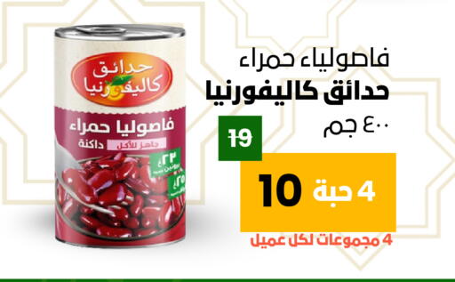 available at Economic Family in KSA, Saudi Arabia, Saudi - Yanbu