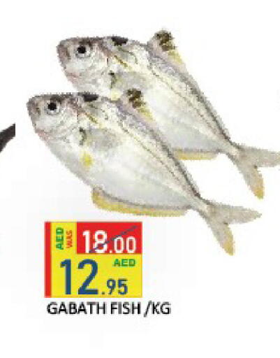 available at ROYAL GULF HYPERMARKET LLC in UAE - Abu Dhabi