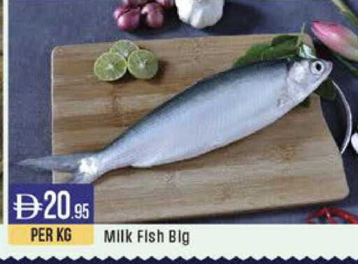 available at ويست زون سوبرماركت in الإمارات العربية المتحدة , الامارات - الشارقة / عجمان