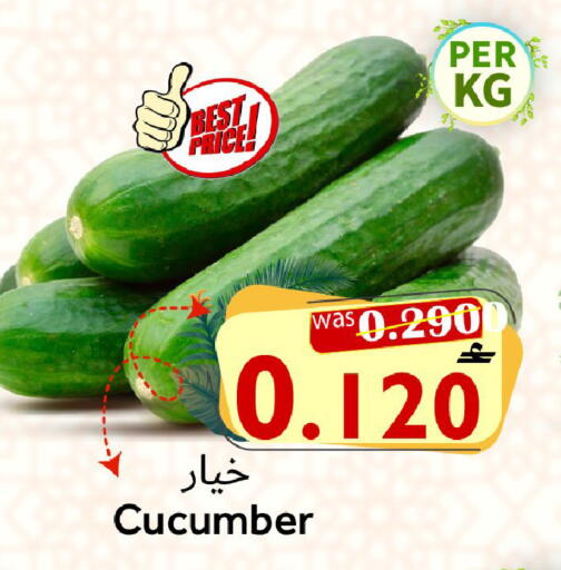 Cucumber available at Al Qoot Hypermarket in Oman - Muscat