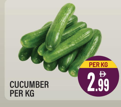 Cucumber available at دريم لاند in الإمارات العربية المتحدة , الامارات - الشارقة / عجمان