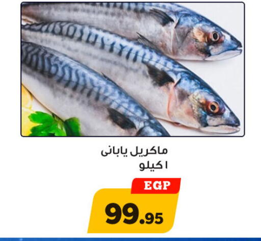 available at أولاد رجب in Egypt - القاهرة