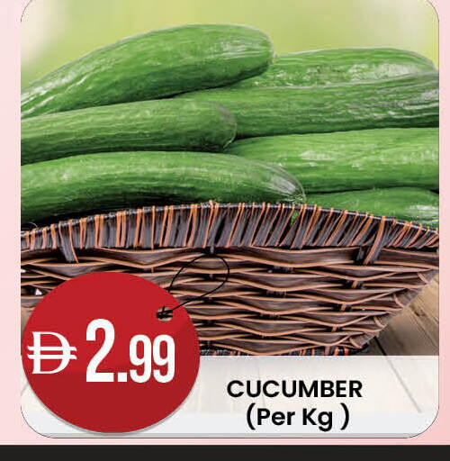 Cucumber available at ك. إم. هايبرماركت in الإمارات العربية المتحدة , الامارات - أبو ظبي