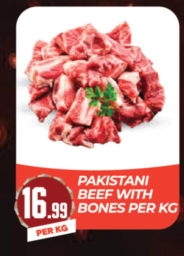 available at دريم لاند in الإمارات العربية المتحدة , الامارات - دبي