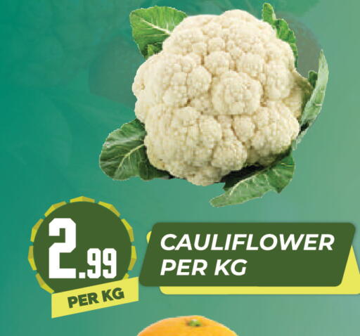 Cauliflower available at دريم لاند in الإمارات العربية المتحدة , الامارات - دبي