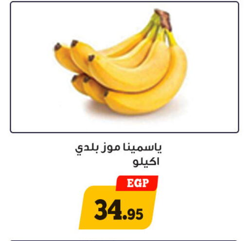 available at أولاد رجب in Egypt - القاهرة