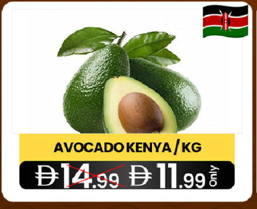 Avocado from Kenya available at  ELITE BASKET SUPERMARKET L.L.C. SP in UAE - Sharjah / Ajman