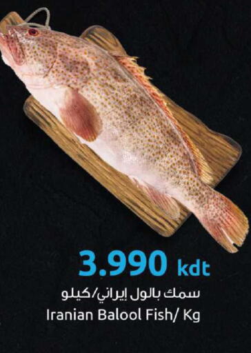 available at مركز سلطان in الكويت - مدينة الكويت