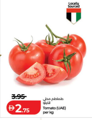 Tomato available at لولو هايبرماركت in الإمارات العربية المتحدة , الامارات - رَأْس ٱلْخَيْمَة