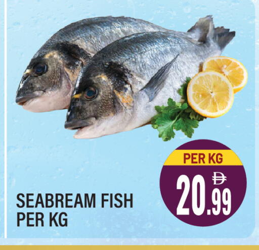 available at دريم لاند in الإمارات العربية المتحدة , الامارات - الشارقة / عجمان