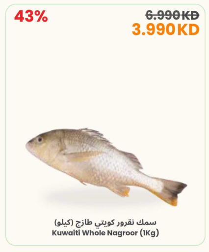 available at مركز سلطان in الكويت - مدينة الكويت