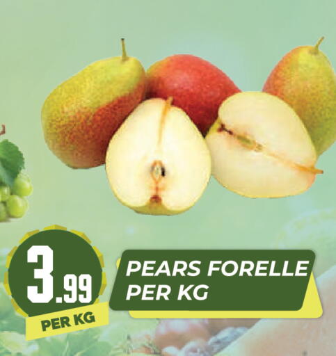 available at دريم لاند in الإمارات العربية المتحدة , الامارات - دبي