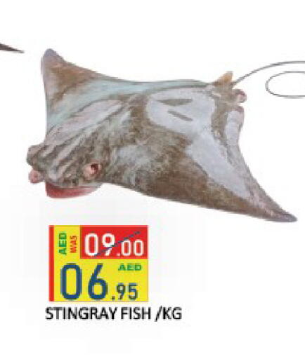 available at ROYAL GULF HYPERMARKET LLC in UAE - Abu Dhabi