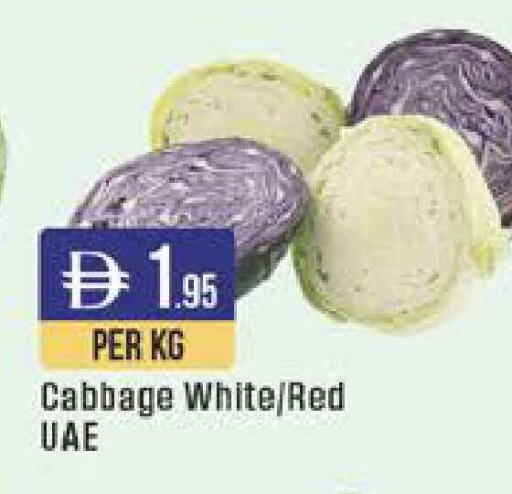 Cabbage available at ويست زون سوبرماركت in الإمارات العربية المتحدة , الامارات - الشارقة / عجمان