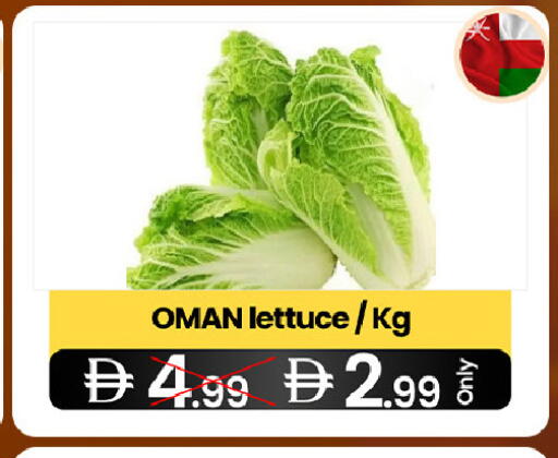 Lettuce from Oman available at  ELITE BASKET SUPERMARKET L.L.C. SP in UAE - Sharjah / Ajman