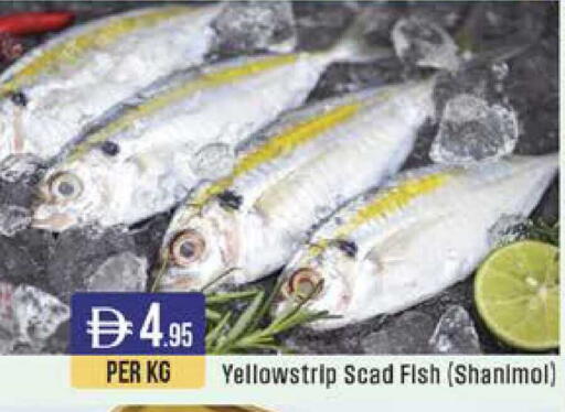 available at ويست زون سوبرماركت in الإمارات العربية المتحدة , الامارات - الشارقة / عجمان