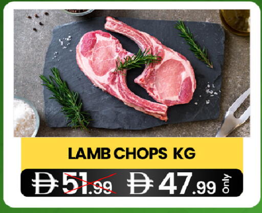 available at  ELITE BASKET SUPERMARKET L.L.C. SP in UAE - Sharjah / Ajman