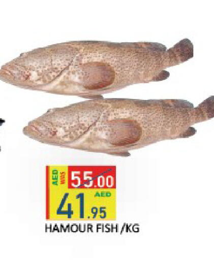 available at ROYAL GULF HYPERMARKET LLC in UAE - Abu Dhabi