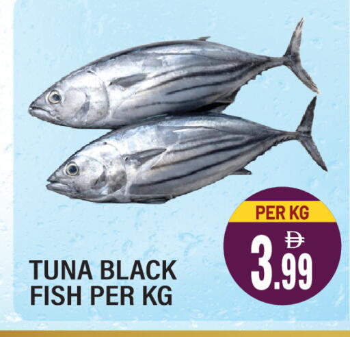 available at دريم لاند in الإمارات العربية المتحدة , الامارات - الشارقة / عجمان