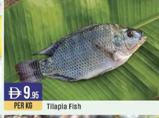 available at ويست زون سوبرماركت in الإمارات العربية المتحدة , الامارات - الشارقة / عجمان