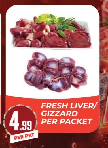 available at دريم لاند in الإمارات العربية المتحدة , الامارات - دبي