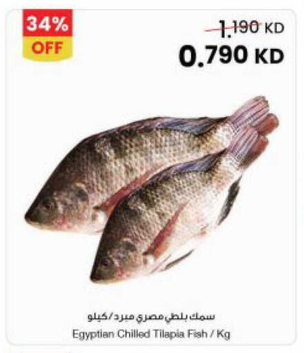 available at The Sultan Center in Kuwait - Kuwait City