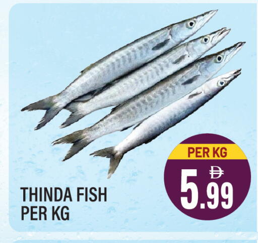 available at دريم لاند in الإمارات العربية المتحدة , الامارات - الشارقة / عجمان