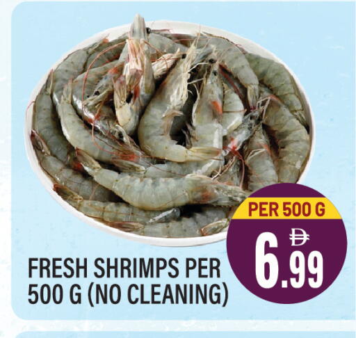 available at دريم لاند in الإمارات العربية المتحدة , الامارات - الشارقة / عجمان