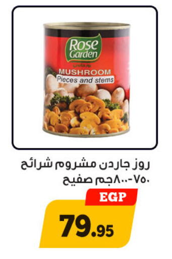 Mushroom available at أولاد رجب in Egypt - القاهرة