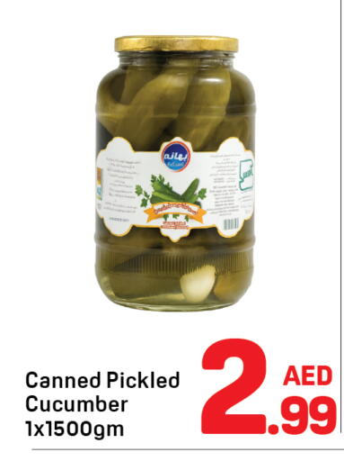 Cucumber available at Day to Day Department Store in UAE - Dubai