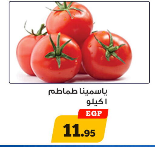 available at أولاد رجب in Egypt - القاهرة