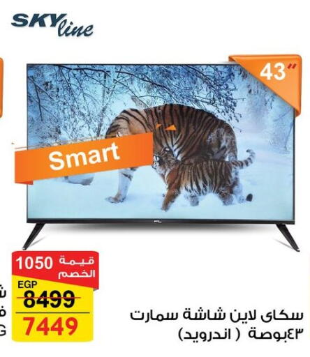 available at فتح الله in Egypt - القاهرة