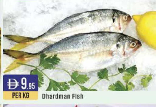 available at ويست زون سوبرماركت in الإمارات العربية المتحدة , الامارات - الشارقة / عجمان