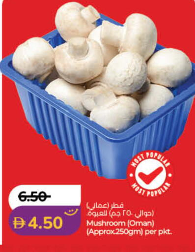 Mushroom from Oman available at لولو هايبرماركت in الإمارات العربية المتحدة , الامارات - ٱلْفُجَيْرَة‎