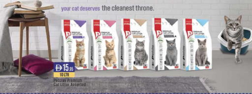 available at ويست زون سوبرماركت in الإمارات العربية المتحدة , الامارات - الشارقة / عجمان