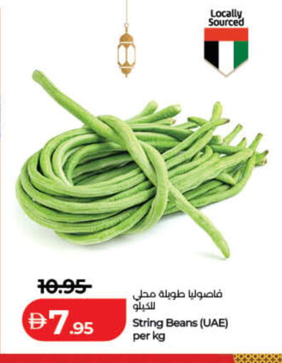 available at لولو هايبرماركت in الإمارات العربية المتحدة , الامارات - ٱلْفُجَيْرَة‎