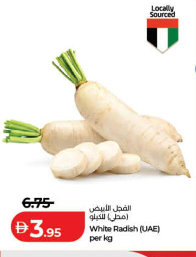 Radish available at لولو هايبرماركت in الإمارات العربية المتحدة , الامارات - ٱلْفُجَيْرَة‎
