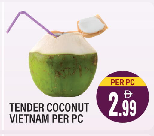 Coconut from Vietnam available at دريم لاند in الإمارات العربية المتحدة , الامارات - الشارقة / عجمان