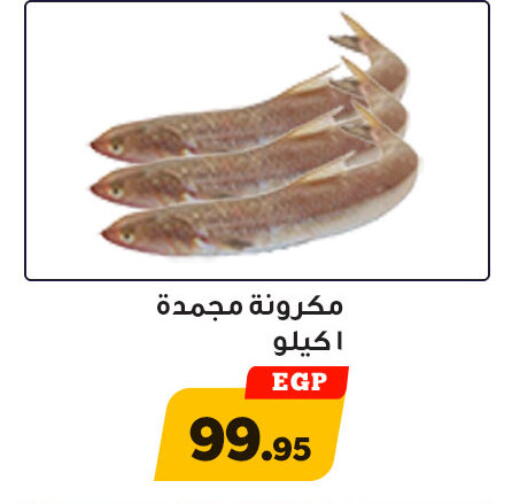 available at أولاد رجب in Egypt - القاهرة