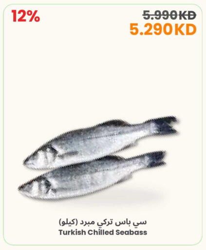 available at مركز سلطان in الكويت - مدينة الكويت