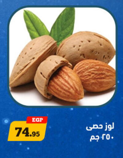 available at أولاد رجب in Egypt - القاهرة